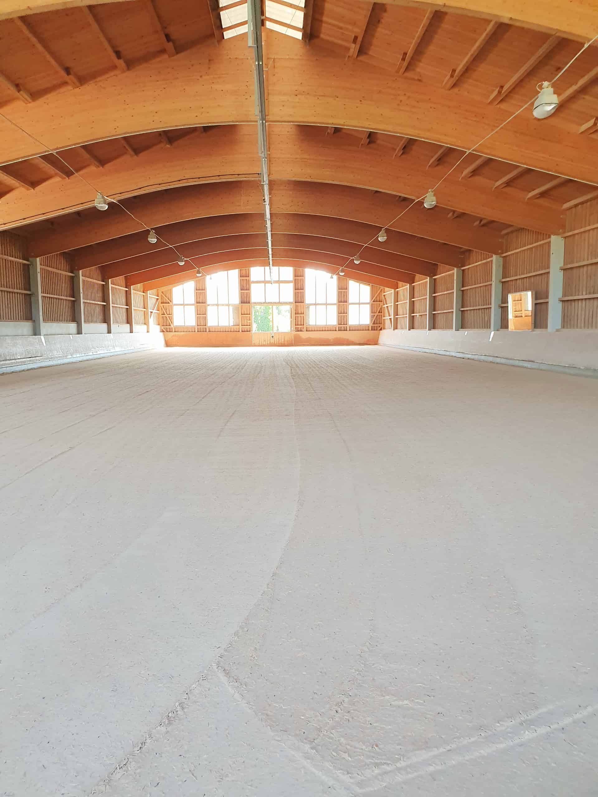 Reiterhof nahe München - Die Reitanlage Gut Mischenried