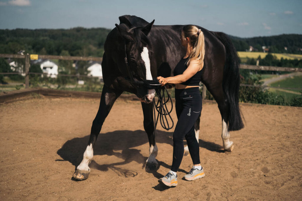 Faszientraing Pferd - Horse tensegrity Training Hannah Berlochner Nike Hertenstein (109)