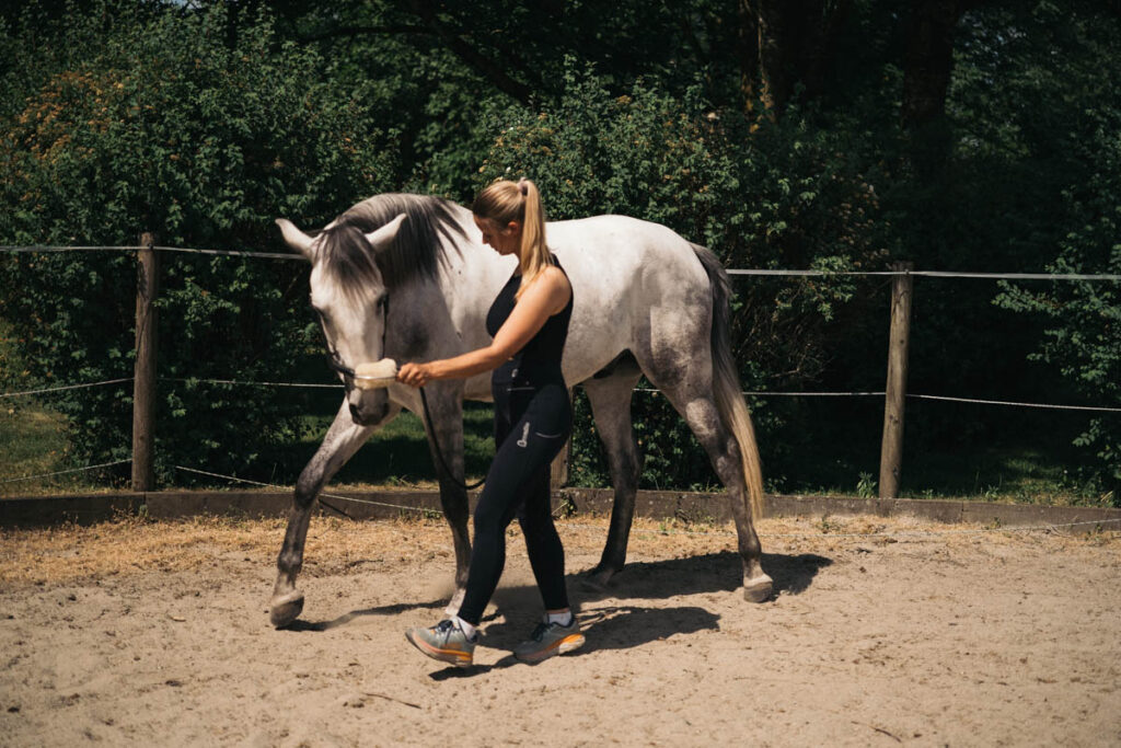 Faszientraing Pferd - Horse tensegrity Training Hannah Berlochner Nike Hertenstein (140)