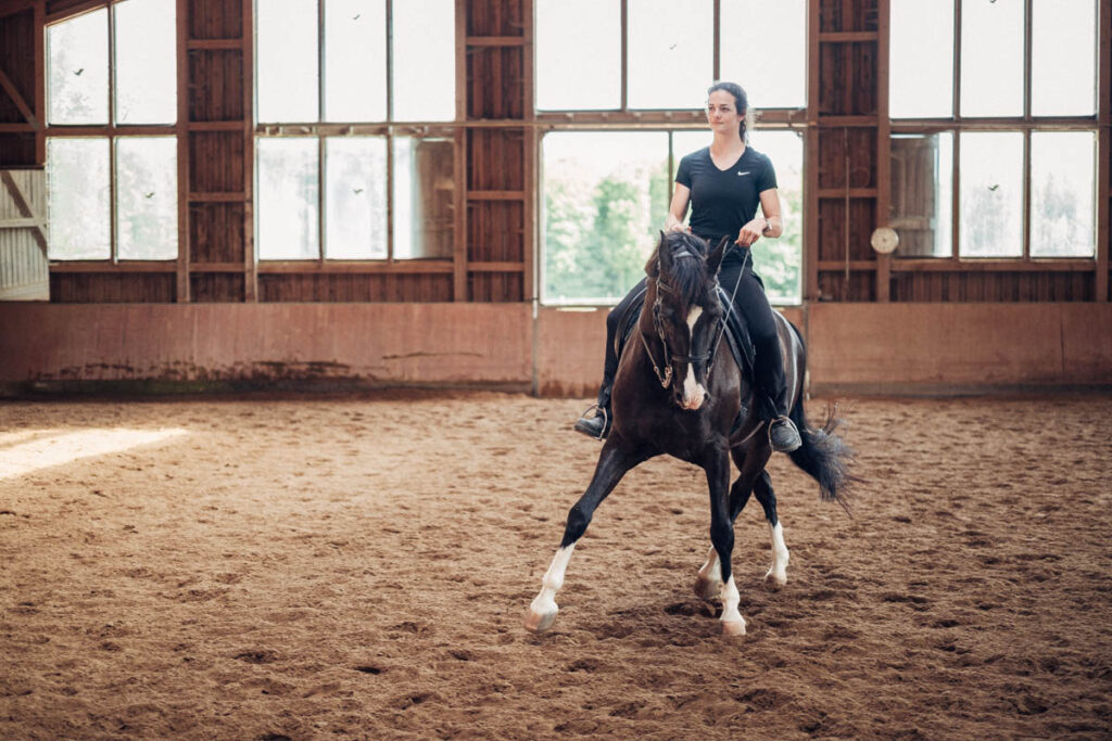 Tensegrales Reiten Kurs - Reitanlage Gut Mischenried (4)