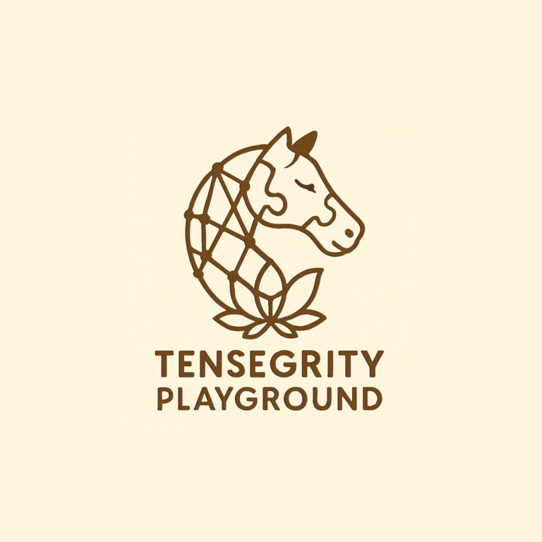 Tensegrity Playground
